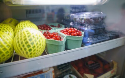 Getting the Most out of Your Garage Freezer & Fridge