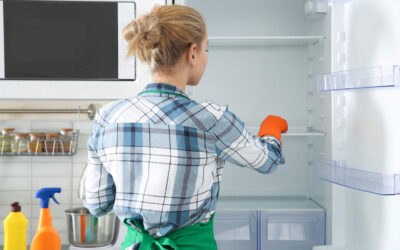 How Often Should You Clean Out Your Freezer/Refrigerator?