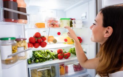 8 Ways to Keep Your Refrigerator Cool This Summer