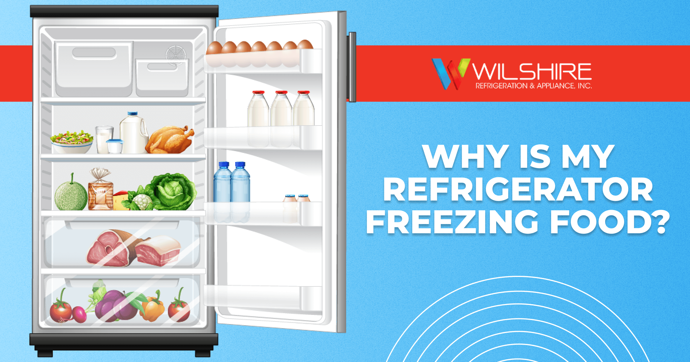 7 Reasons Why Your LG Fridge Is Freezing Food