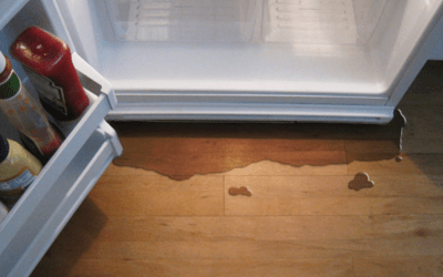 Why is my Fridge Leaking Water Inside? Understanding and Fixing Water Leaks