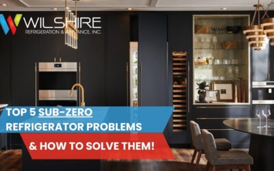 Top 5 Sub-Zero Refrigerator Problems and How to Fix Them