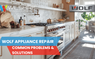 Wolf Appliance Repair: Common Problems & Solutions