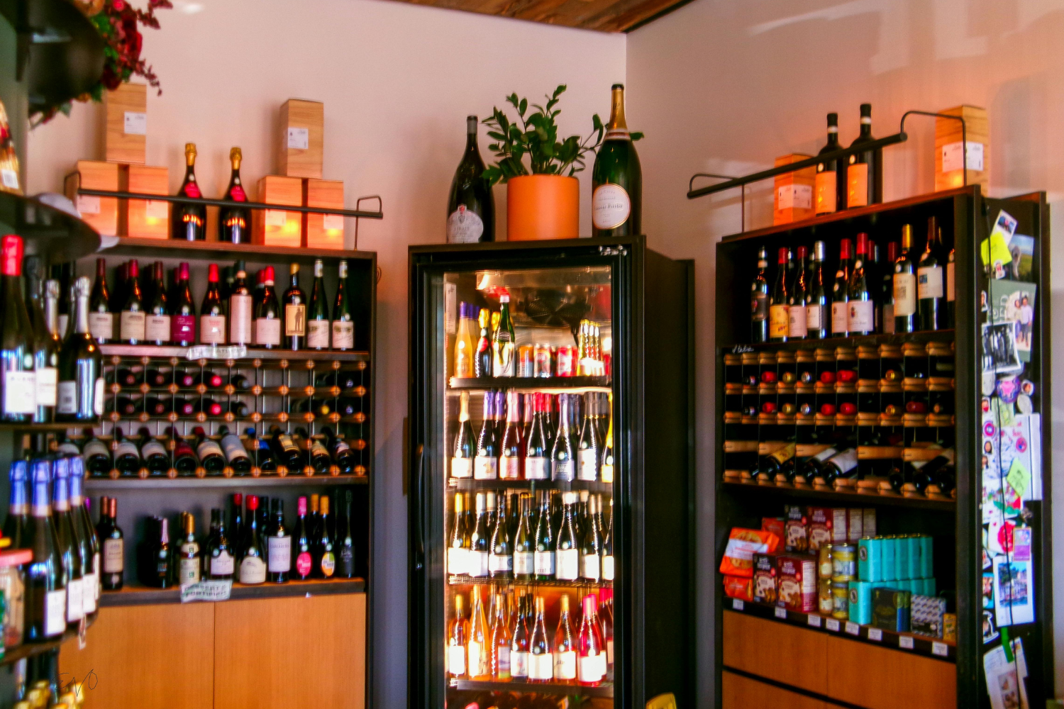 Wine cooler not cooling in wine shop display case with bottles and shelves organized