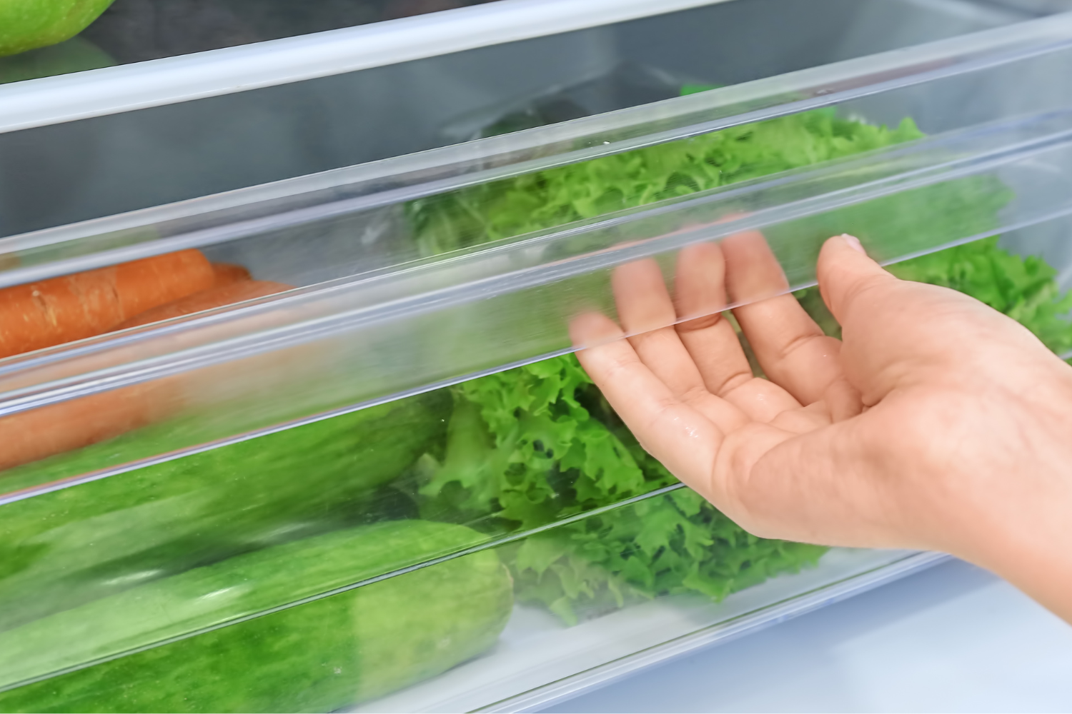 Hand reaching into a refrigerator drawer to place fresh green lettuce, with other produce like carrots, apples, grapes, and a green cabbage nearby.
